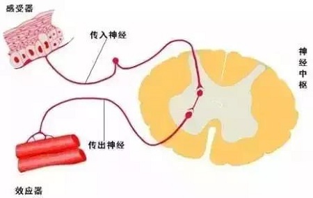 聞香識女人