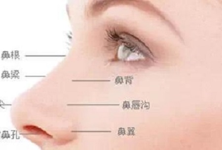隆鼻